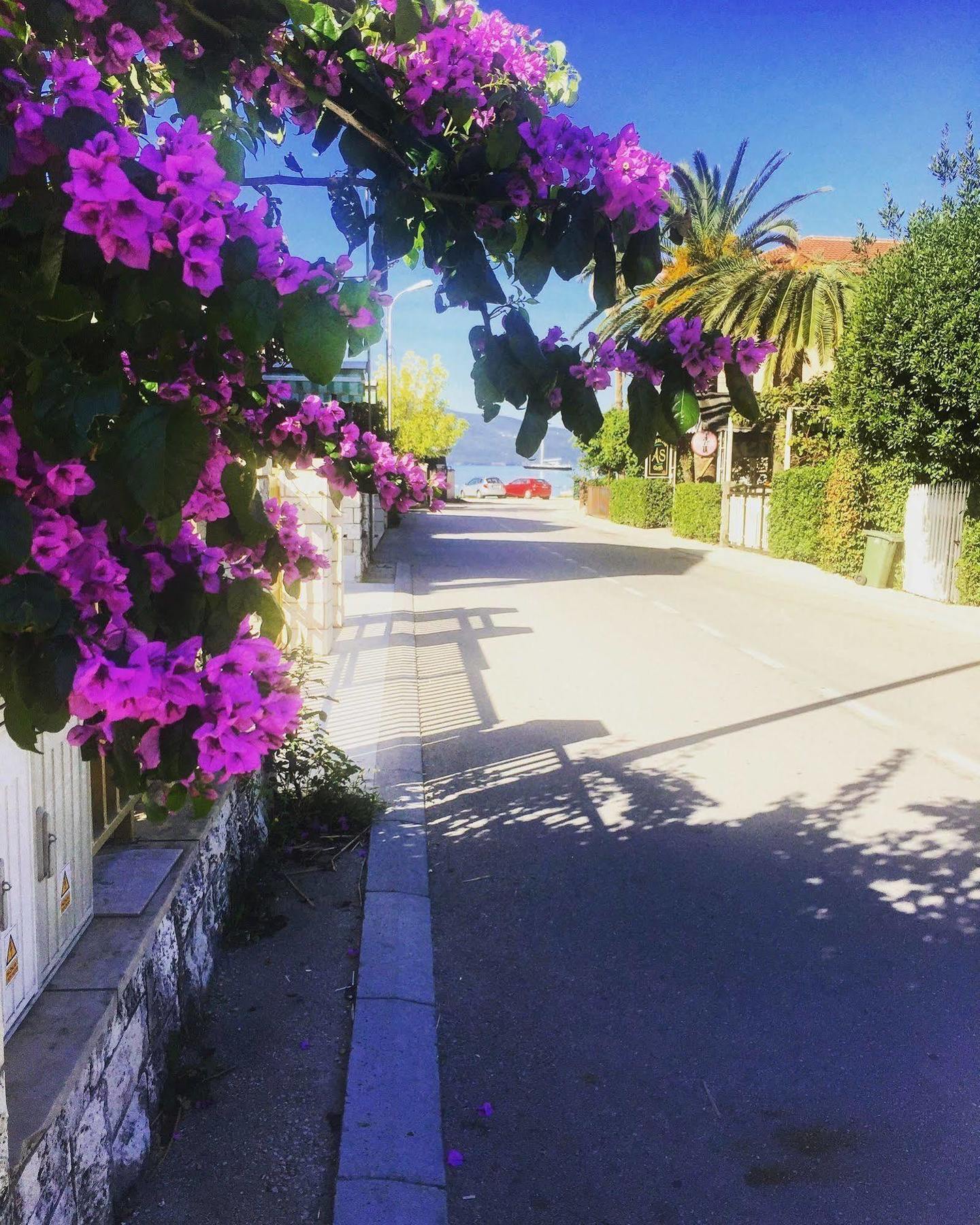 Hotel Splendido Bay Tivat Ngoại thất bức ảnh